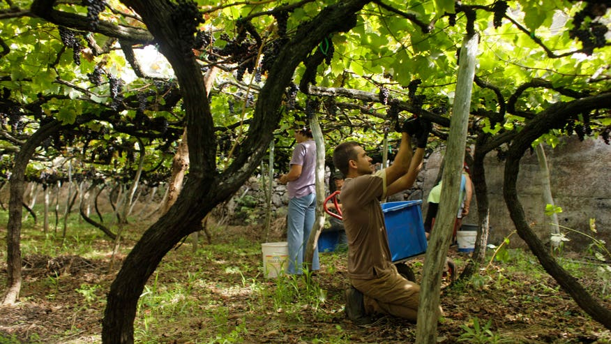 winery
